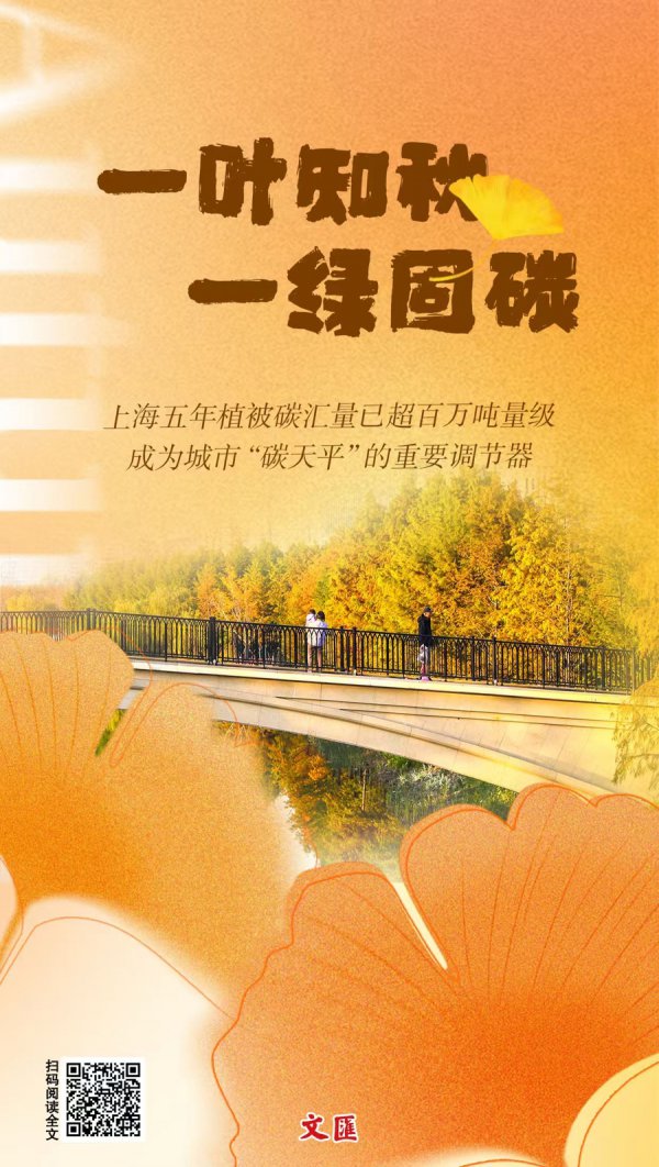 文汇海报｜一叶知秋，一绿固碳